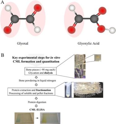  Glyoxal: Một Vật Liệu Hữu Cơ Phi Thường Cực Kỳ Đáng Quan Tâm cho Các Ứng Dụng Cao cấp và Chế Tạo Tiến Bộ!