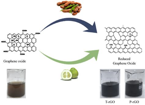  Reduced Graphene Oxide: Giải pháp Hạn chế Phân Thối và Tăng Cường Khả năng Hoạt động của Vật Liệu?